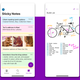 Screenshot of OneNote